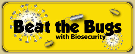 Beat the Bugs eWorkshop button