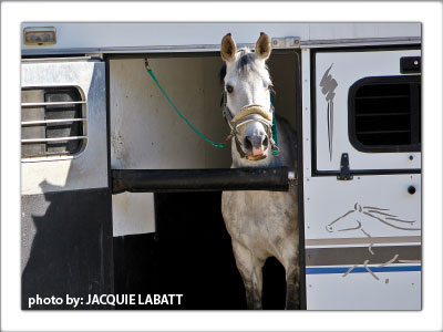 Register for Equine Guelph’s next offering of the Biosecurity eWorkshop