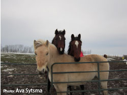 over 16 years winning photo from Ava Sytsma