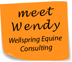 meet Wendy Wellspring Equine Consulting
