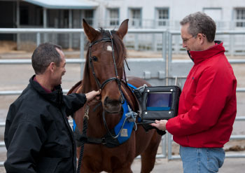 Behind the scenes at Horse Experience 2015