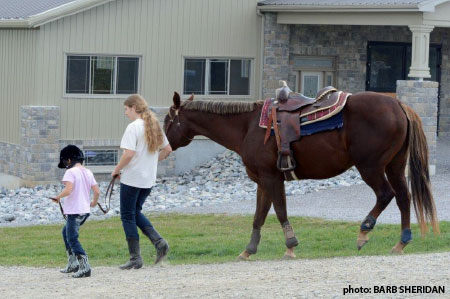 Equine Business Management has been designed for those interested in establishing a business in the equine industry or for those already operating a business and looking for a way to boost that bottom line in today’s struggling economy