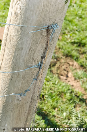 Hazards around the farm