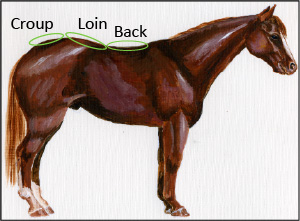 Topline Scoring image