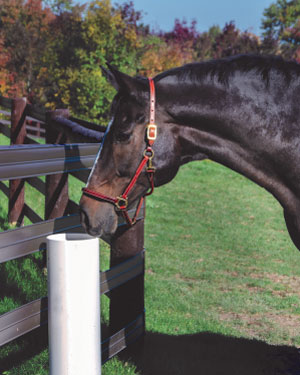 drinking-post-outside image