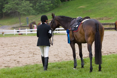 Dressage horse and rider