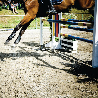 jumping horse landing