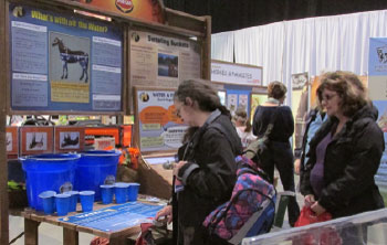 2 women exploring digestive display