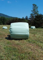 wrapped bale