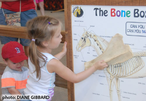 EquiManiac at Minnesota State Fair