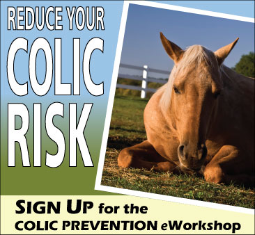 REGISTER NOW FOR COLIC PREVENTION eWORKSHOP