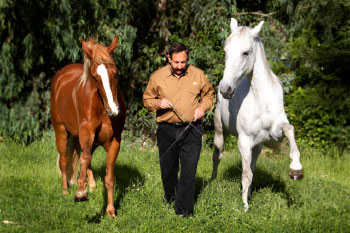 Master Horse Trainer David Lichman