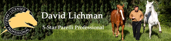 Image of Master Horse Trainer David Lichman