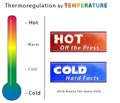 Thermoregulation by Temperature - HOT-COLD graphic