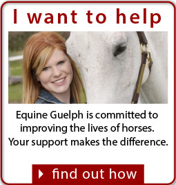 (link) Donation to Equine Guelph