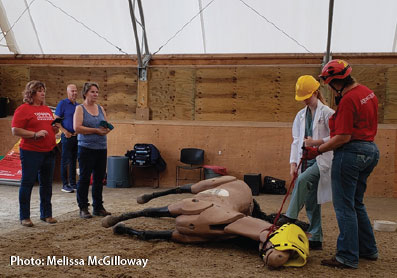 Large Animal Emergency Rescue Training workshop