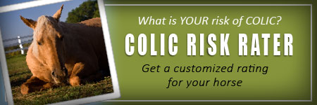 (button) Colic Risk Rater