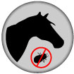 Horse head icon