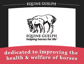 Equine Guelph GIF