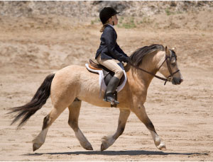 Kid on Pony safety stirrups