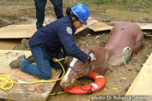 Rescuing a horse from the mud