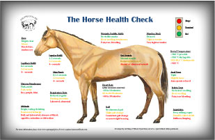 (link) THE HORSE HEALTH CHECK image