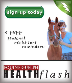Healthflash Sign-up