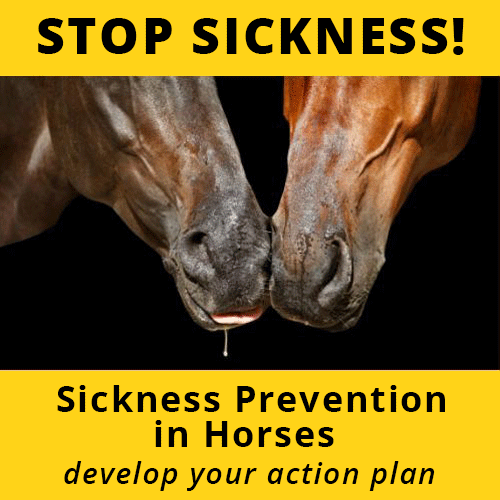 Sickness Prevention in Horses course banner