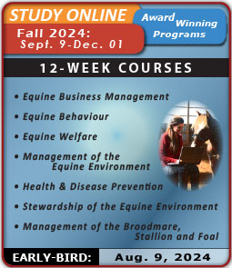 (button) Upcoming 12-week Online Courses Listing