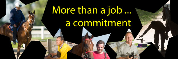 More than a job...a commitment