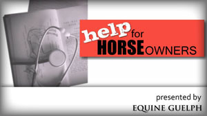 (button) HELP FOR HORSE OWNERS