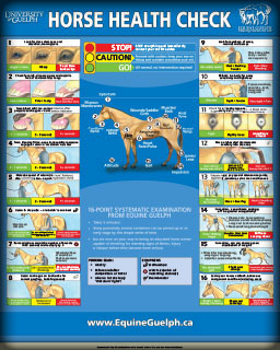 Horse Health Check poster